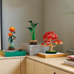 Japāņu sarkanā kļava – Bonsai kociņš - Image 2
