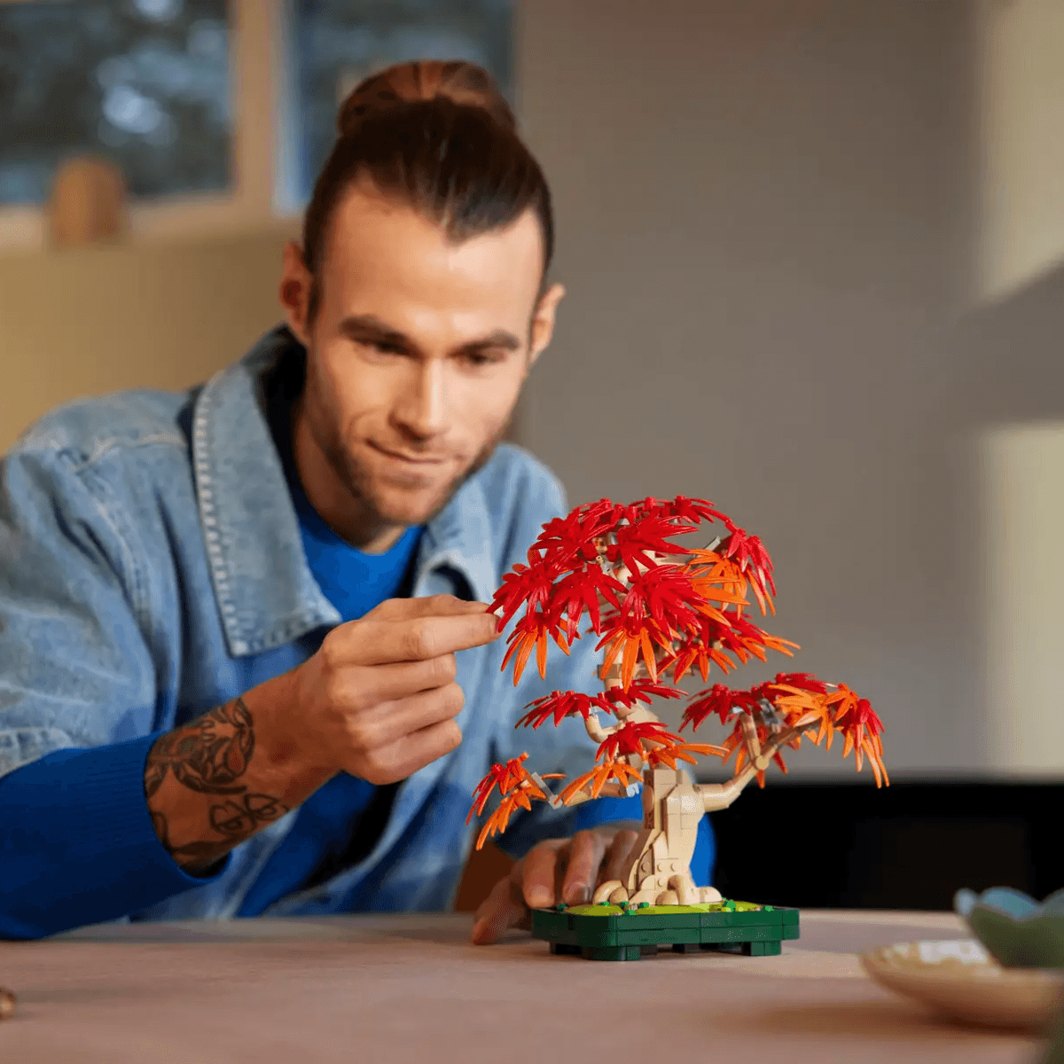 Japāņu sarkanā kļava – Bonsai kociņš - Image 7