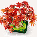 Japāņu sarkanā kļava – Bonsai kociņš - Image 9