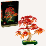 Japāņu sarkanā kļava – Bonsai kociņš