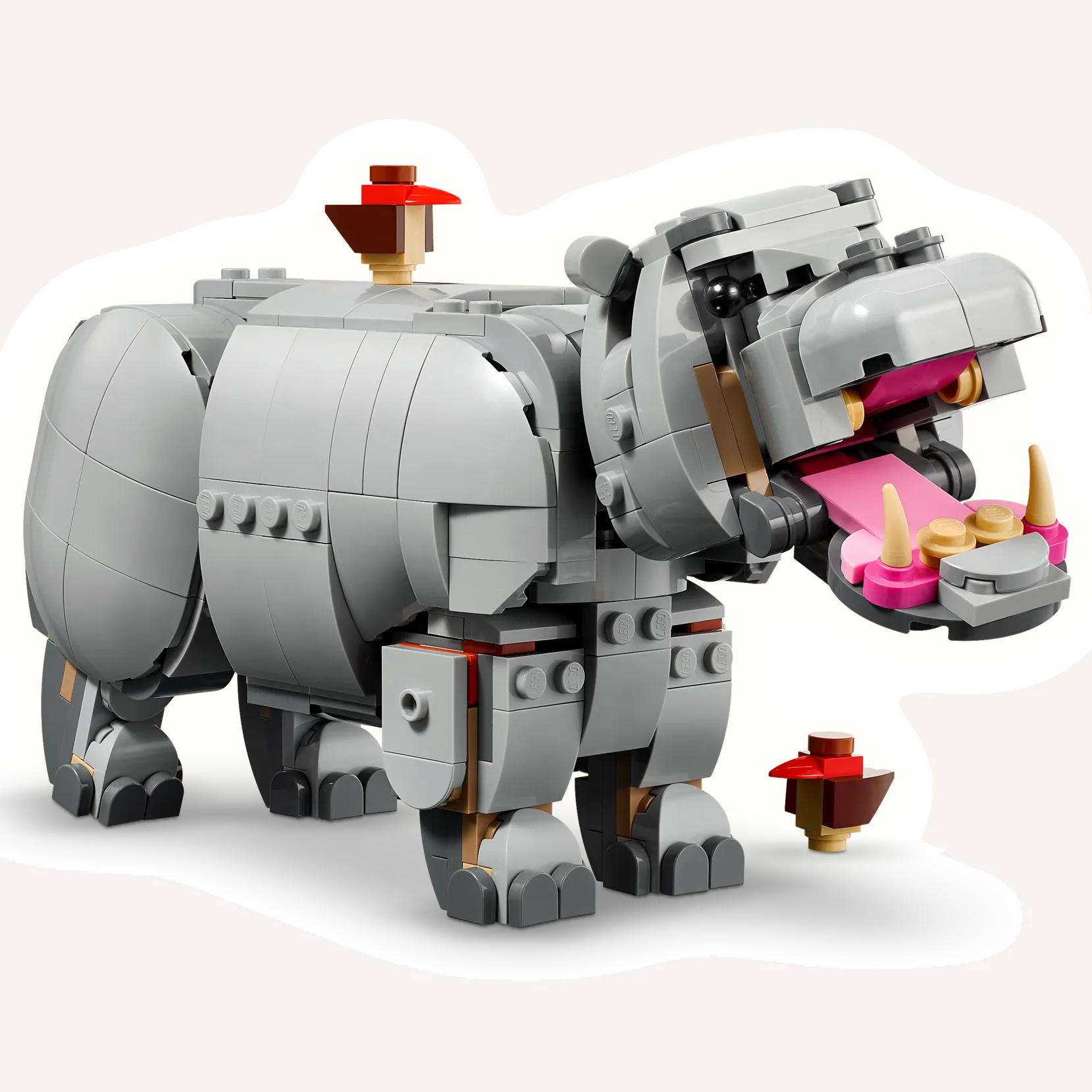 Savvaļas dzīvnieki: Majestātiskais degunradzis ar putniem - Image 3